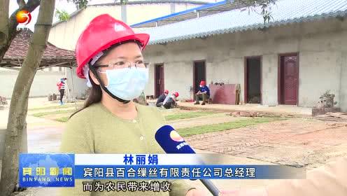 宾阳县媒体爆料案件最新,最新案件进展引发社会关注